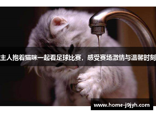 主人抱着猫咪一起看足球比赛，感受赛场激情与温馨时刻